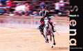 Pulse of the Palio Siena – costumed rider galloping at the Palio di Siena
