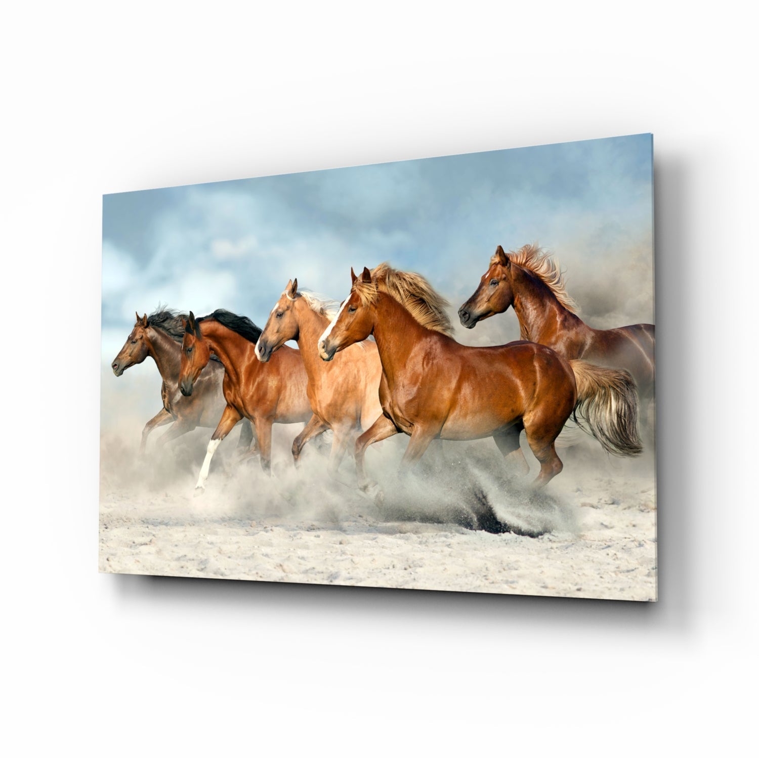 Horses Glass - Wall Art